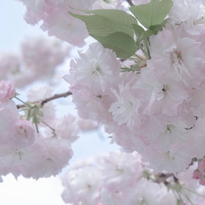 Furry插画故事感设计Furry群